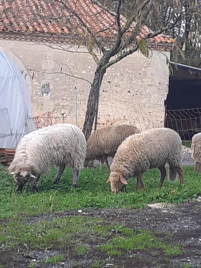 Maison De Campagne A La Ferme Pillac Εξωτερικό φωτογραφία